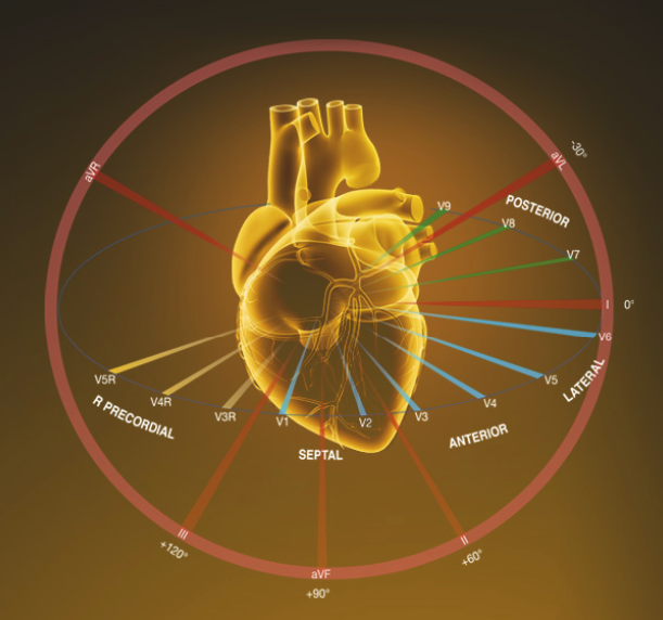 Edan SE1515 - Image 4